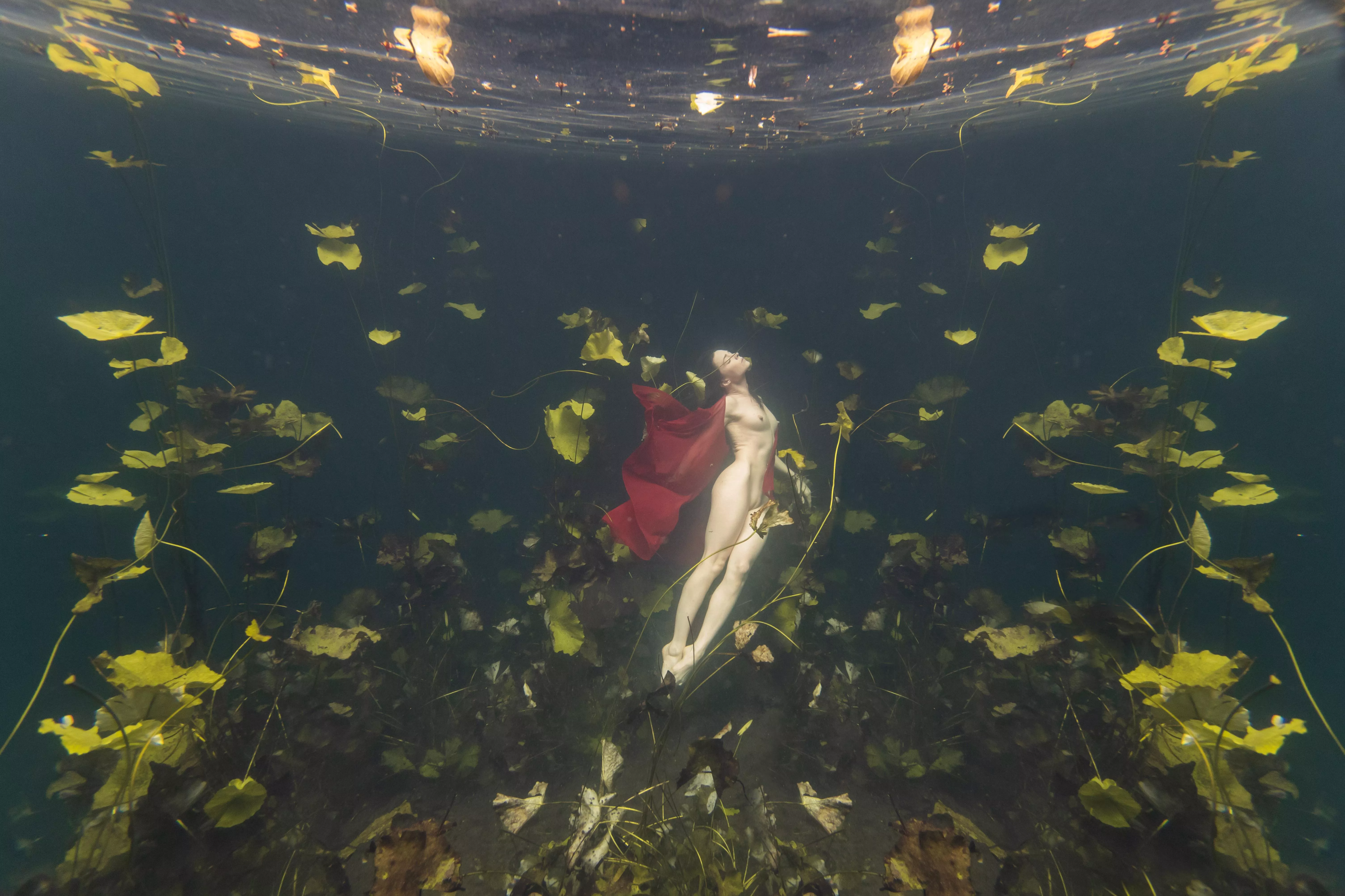 Swimming naked in lilypads