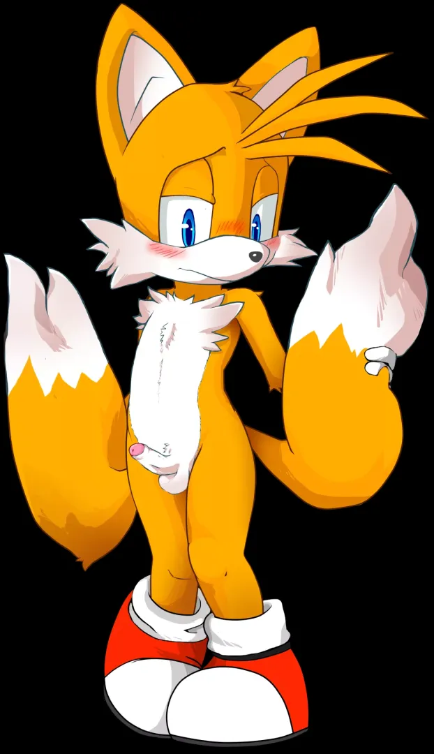Tails hanging out with his Cock (Art by jenokamui)