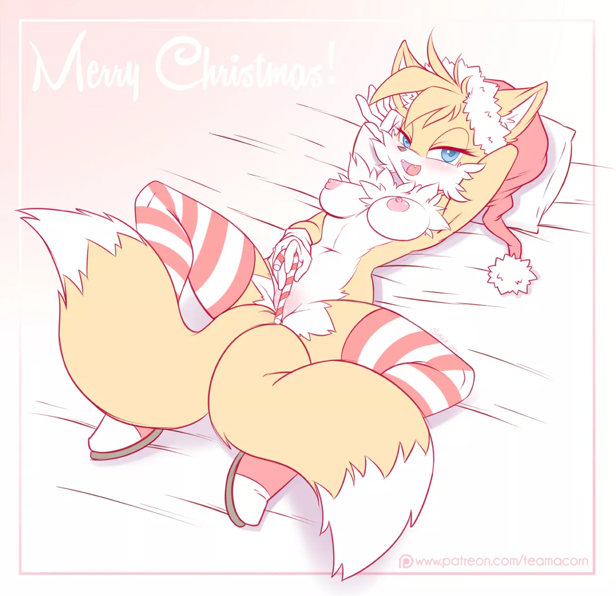 Tails wishes you a Merry Christmas [F] (teamacorn)