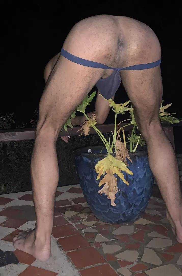 Take a sniff
