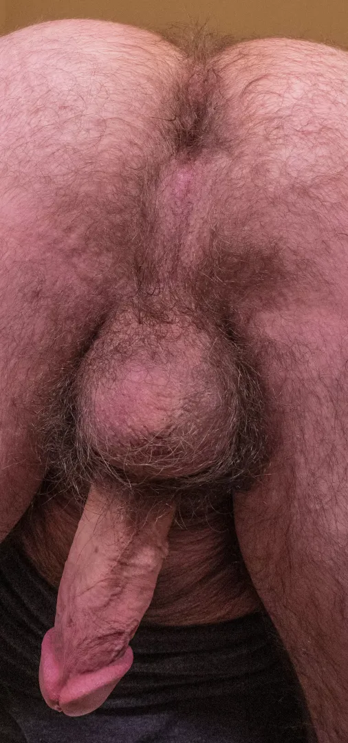Take a sniff