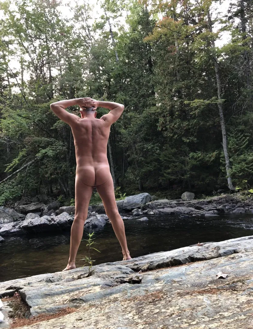 Taking a Walk On the Wild Side