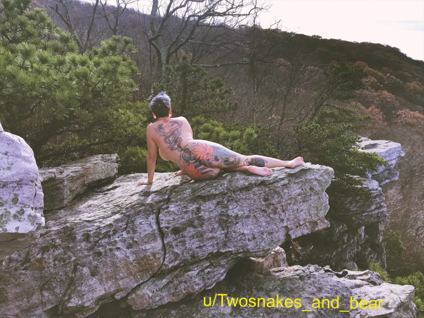 Taking it all in
