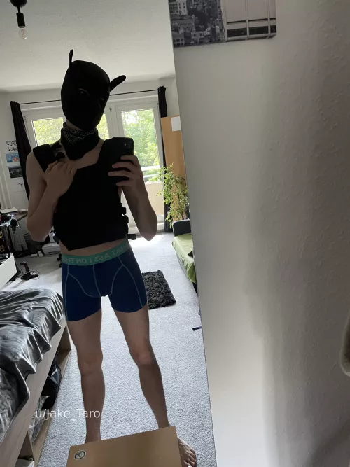 taro reporting for duty 🫡 (did i do it right? 😅)