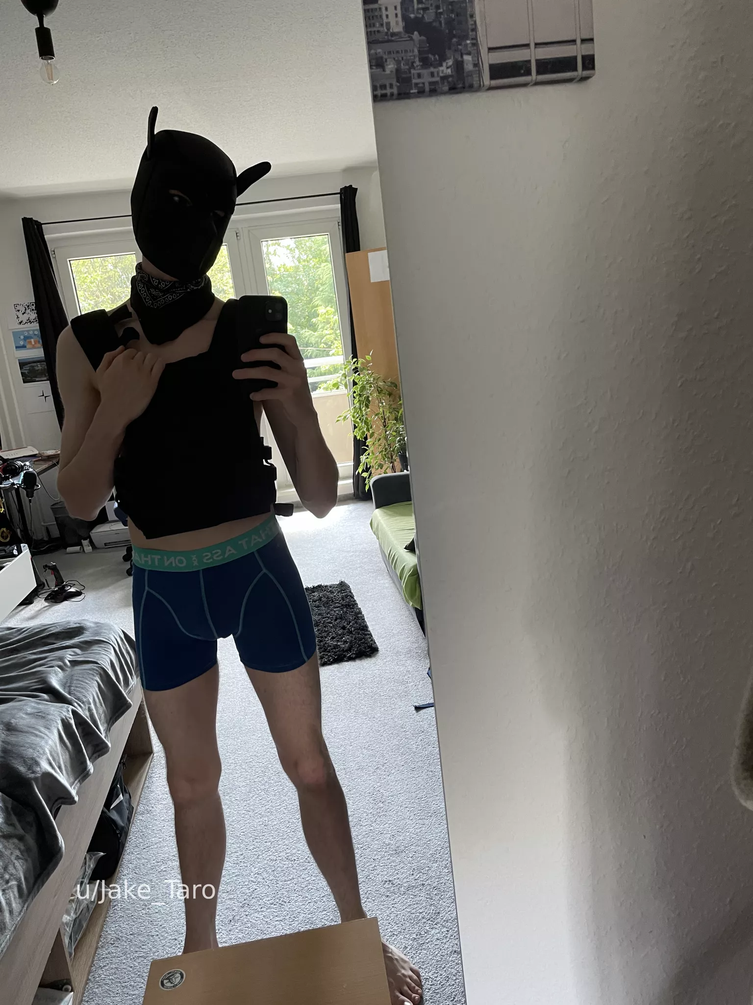 taro reporting for duty 🫡 (did i do it right? 😅)