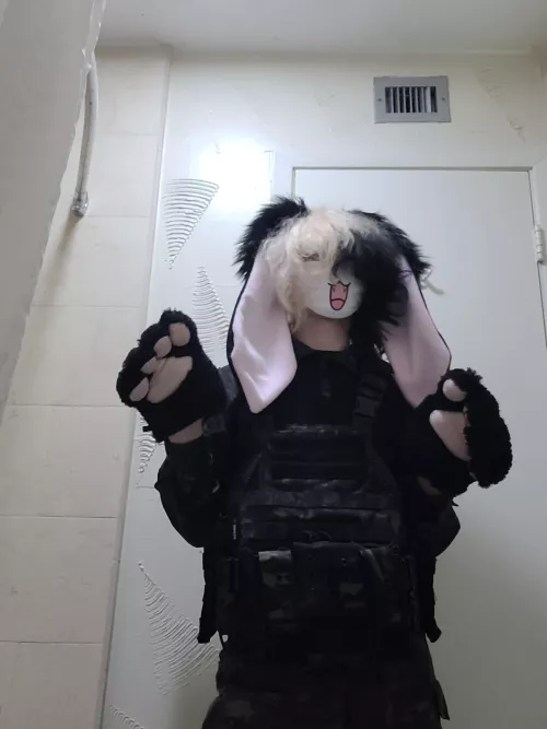 Tatcial bunnie boi