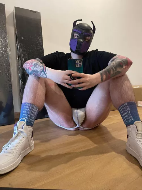 Tattooed pup looking for a dom breeder