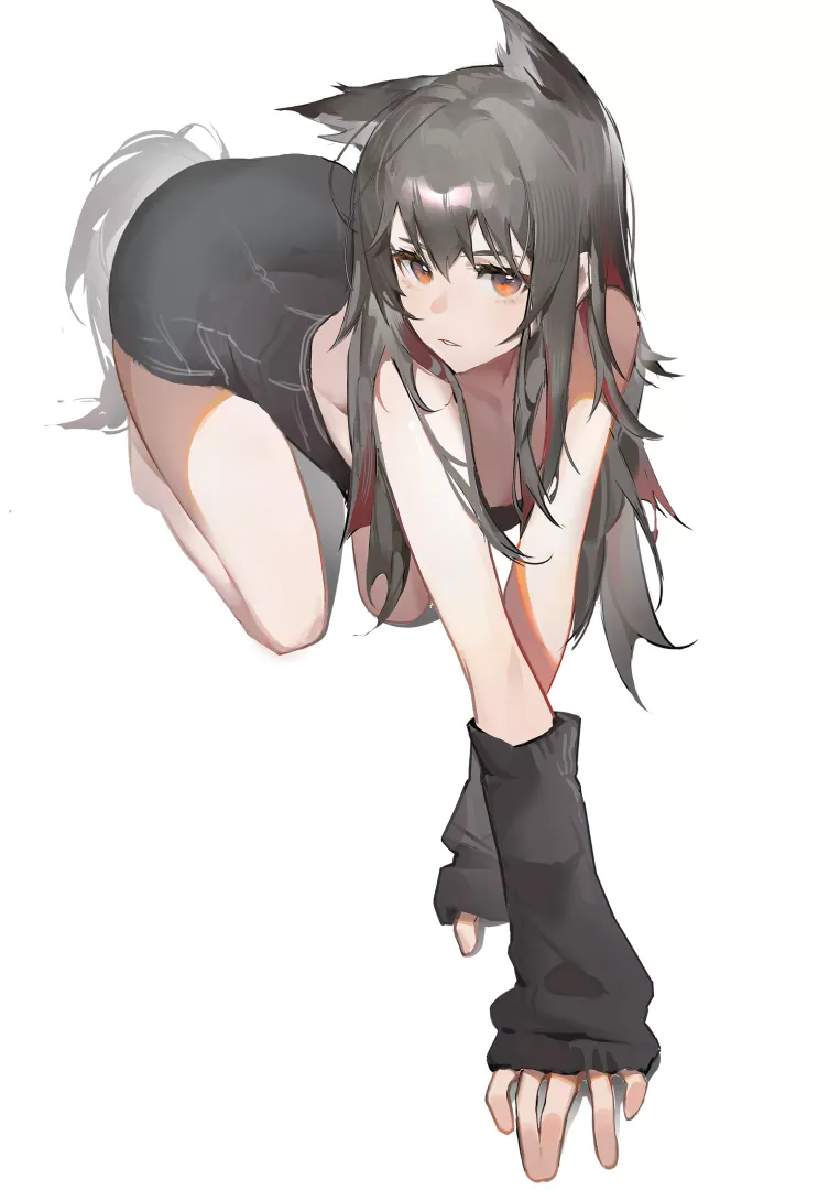 Texas [Arknights]