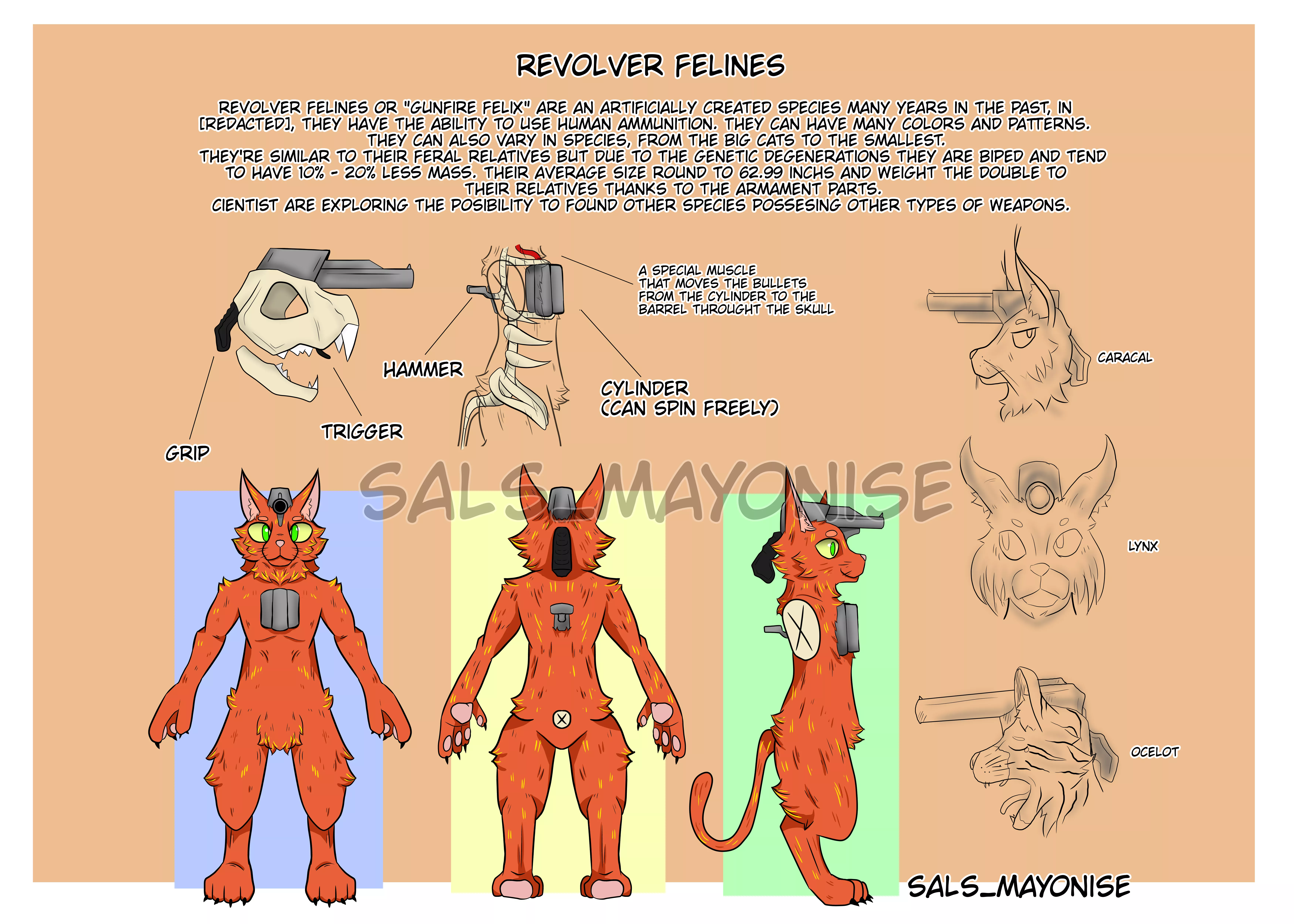 Thanks to everyone for cheer me on the other post, as promised here's a reference sheet for the revolver cat as a species, resolving some doubts of 