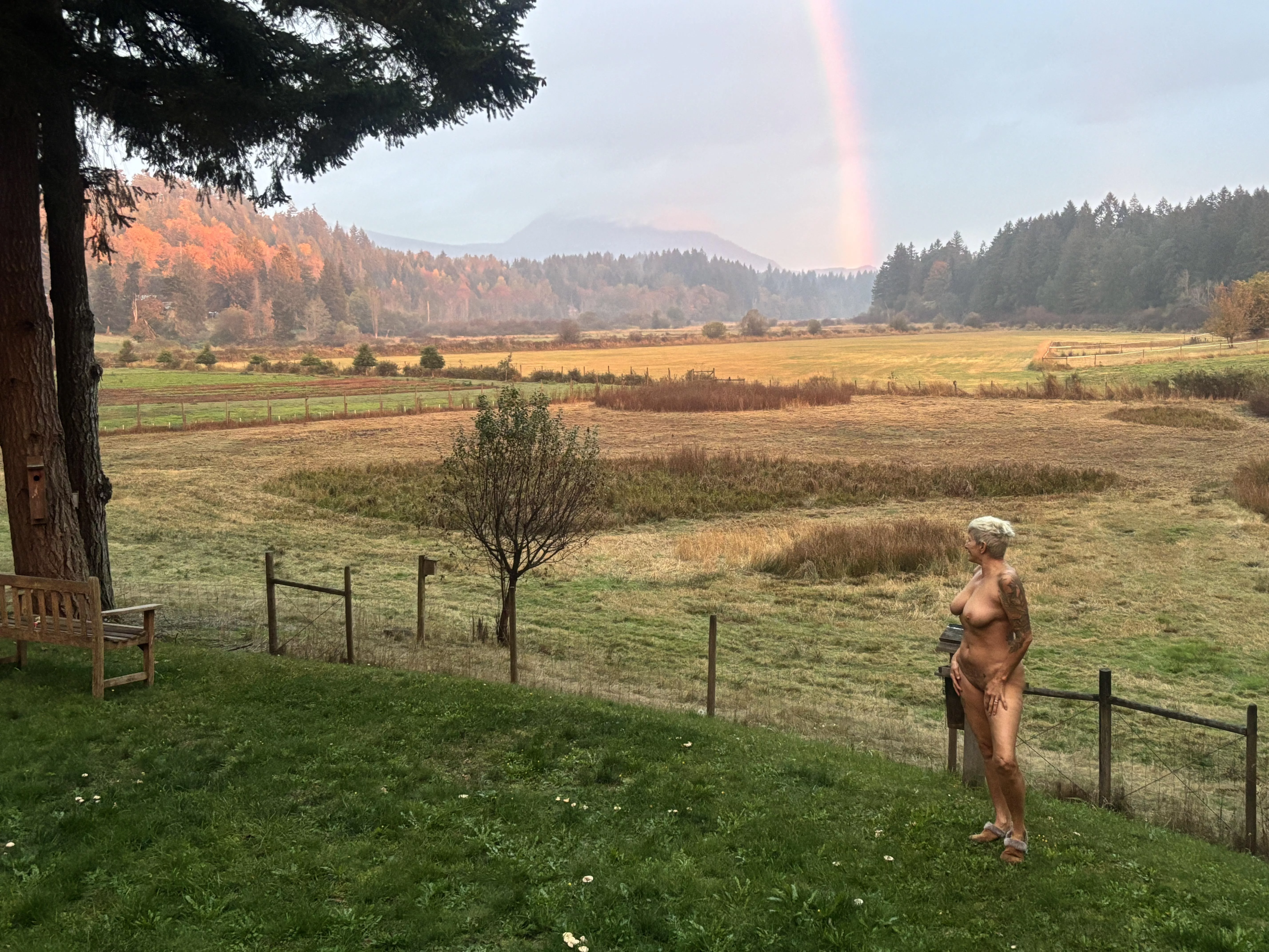Thanksgiving drama 