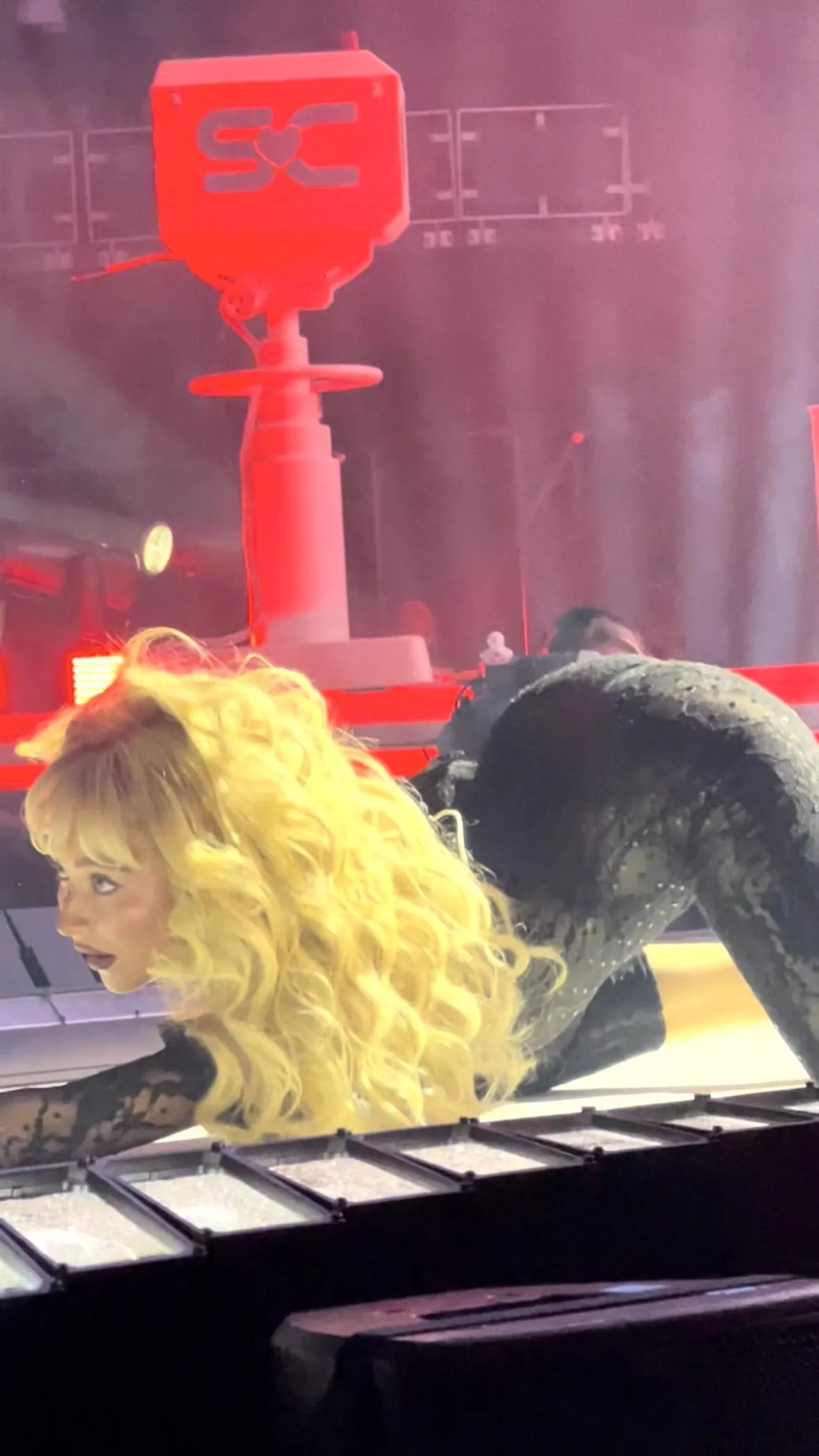 That Is A Professional Arch