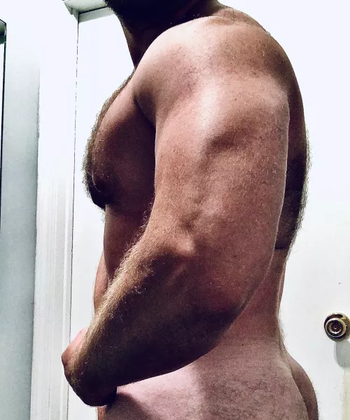 The back matches the chest