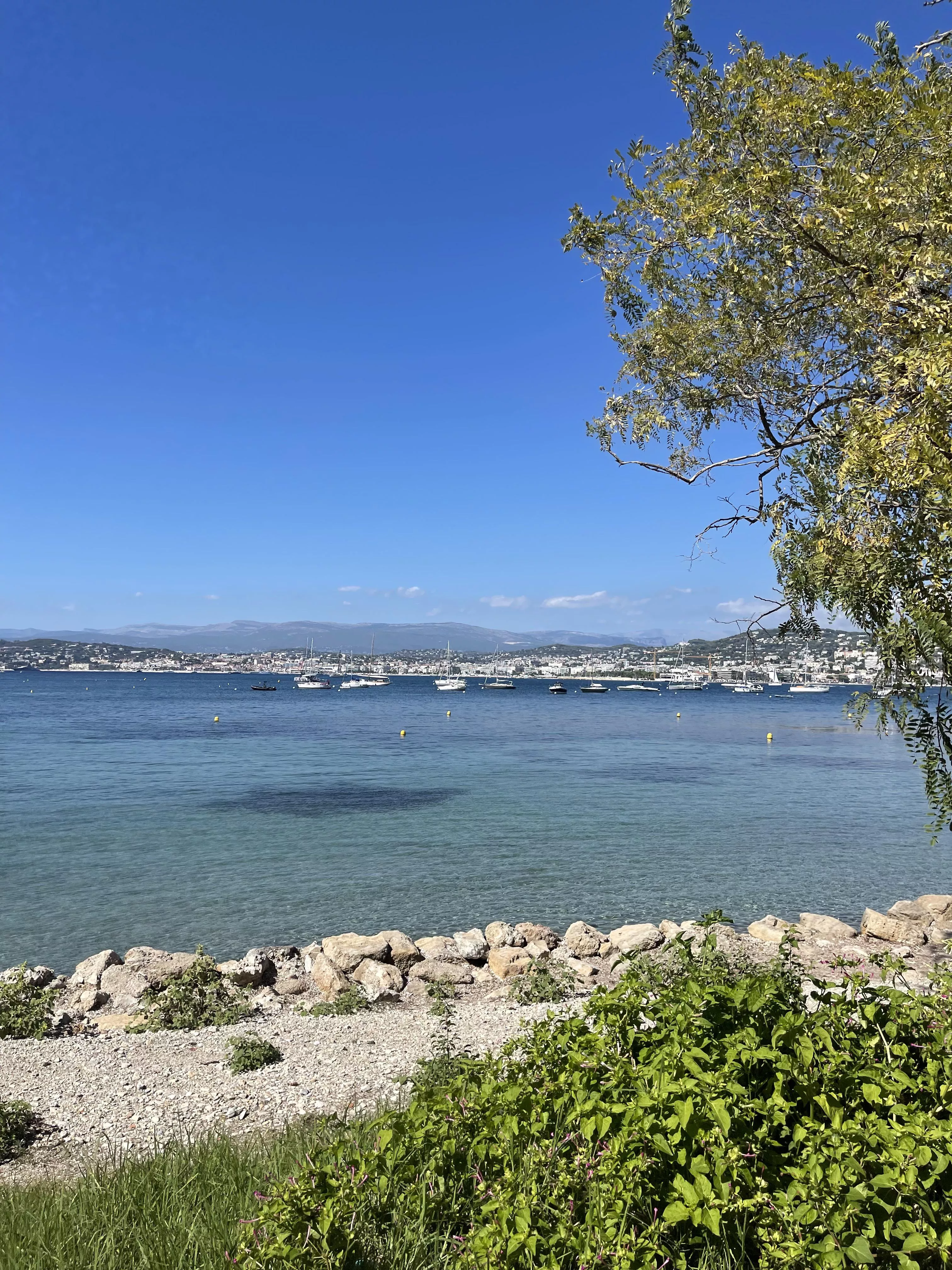 The beach in Cannes, France