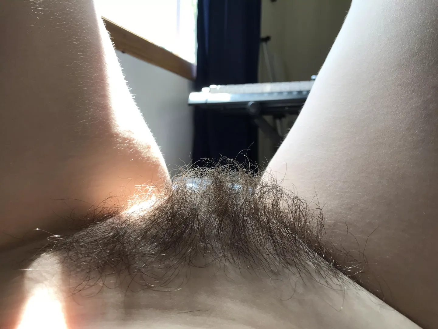 The biggest my bush has ever been 😍