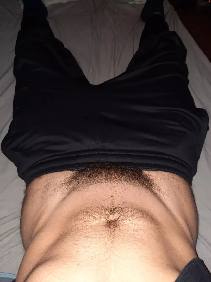 the bush peeking out😶