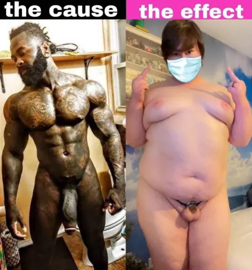 The Cause/The Effect