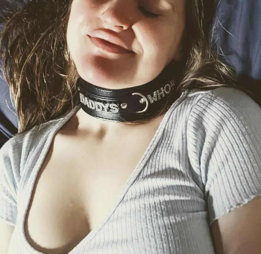 The collar says it all