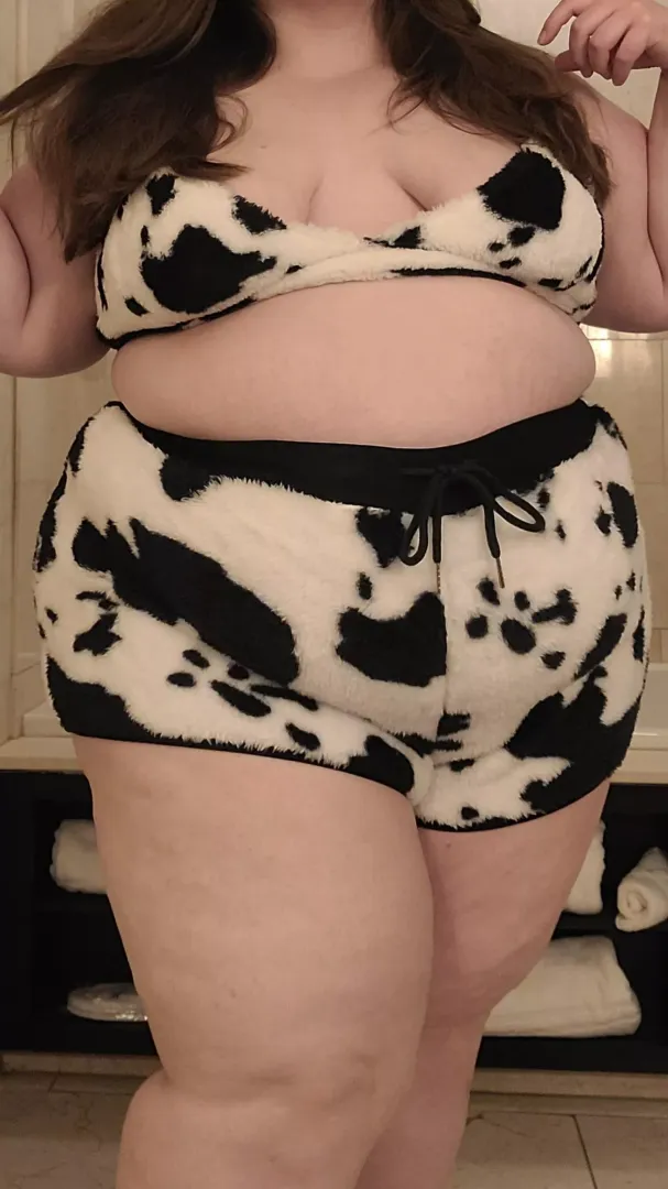 The cutest cow you'll ever meet