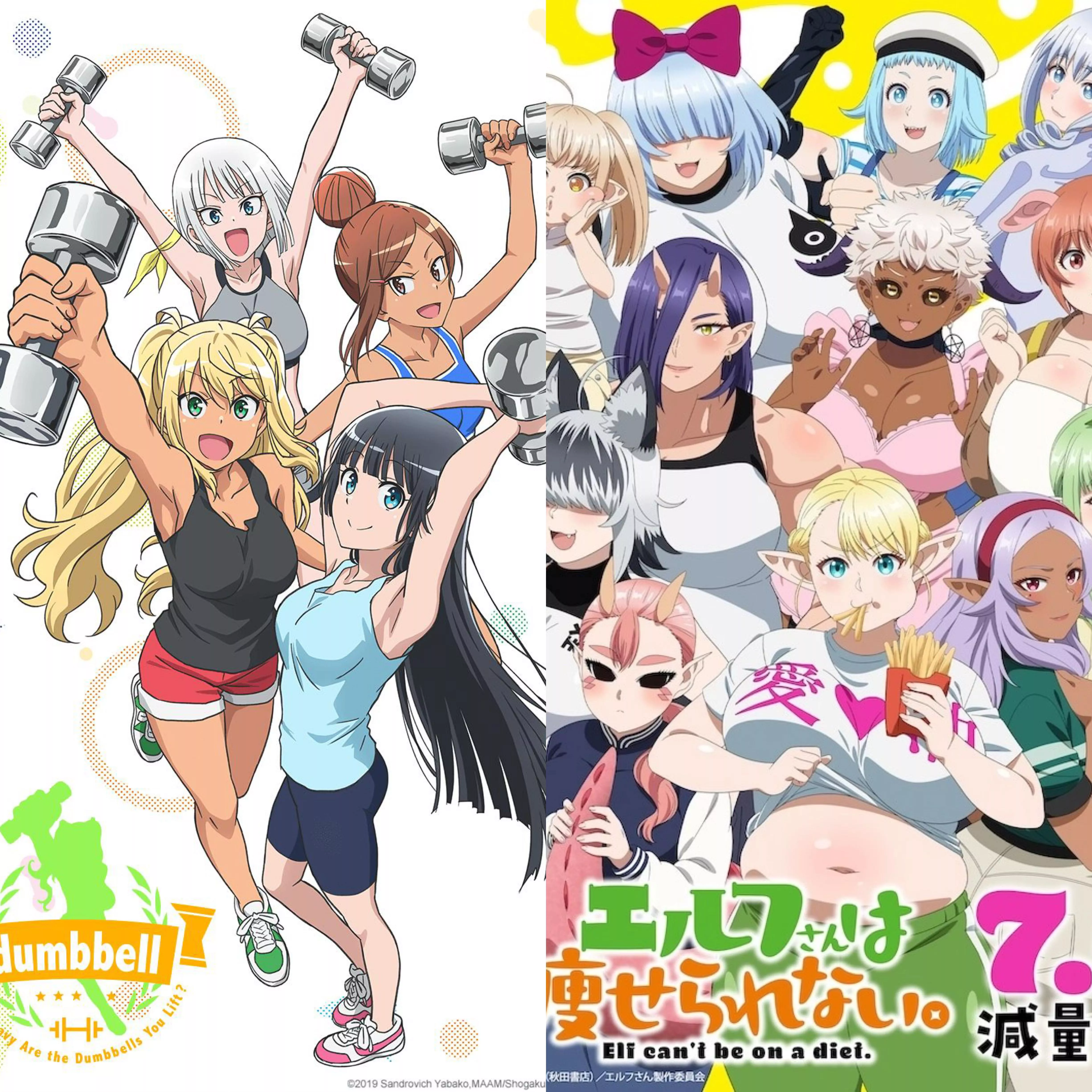The duality of man. Fit Girls or Chubby Girls? [How Heavy Are the Dumbbells You Lift?/Plus Sized Elf]