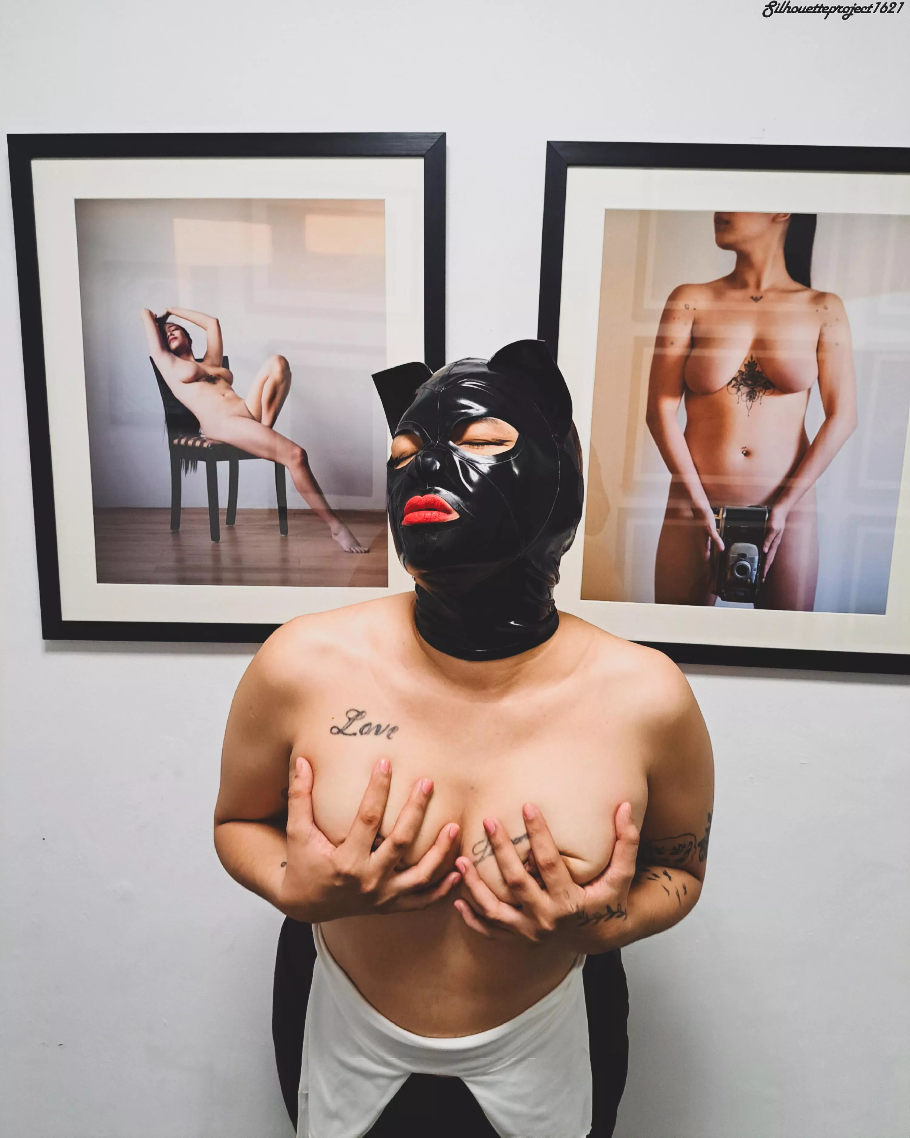 The Exhibit 📸
