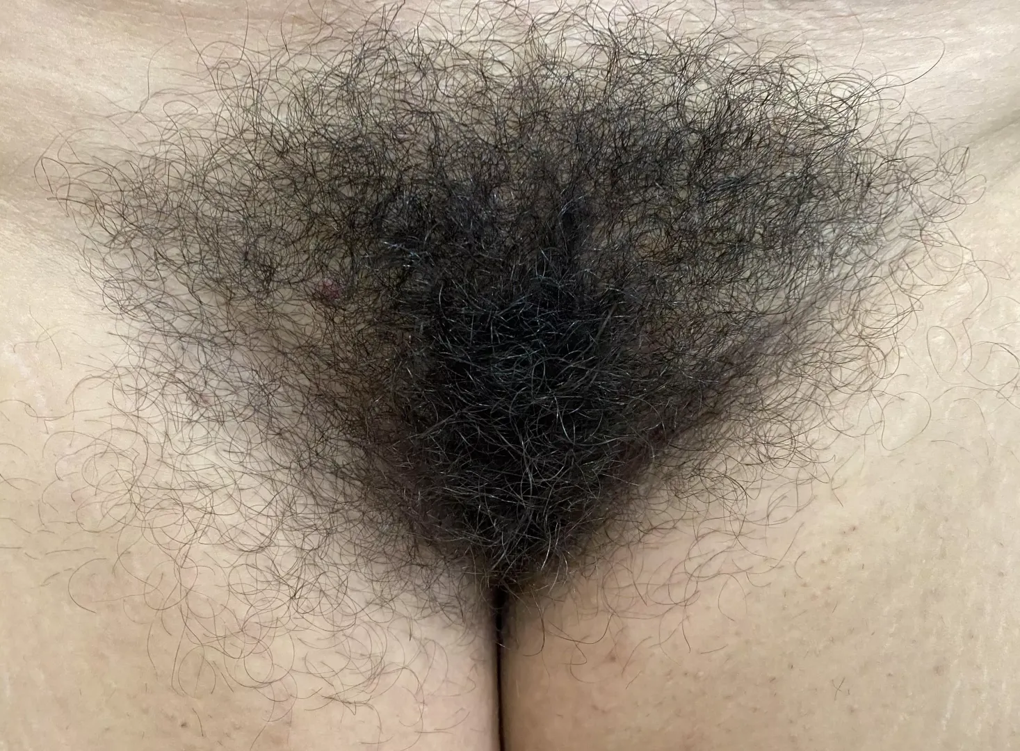 The Full Bush 😊