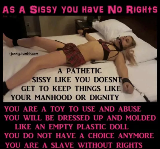 the future of good sissies