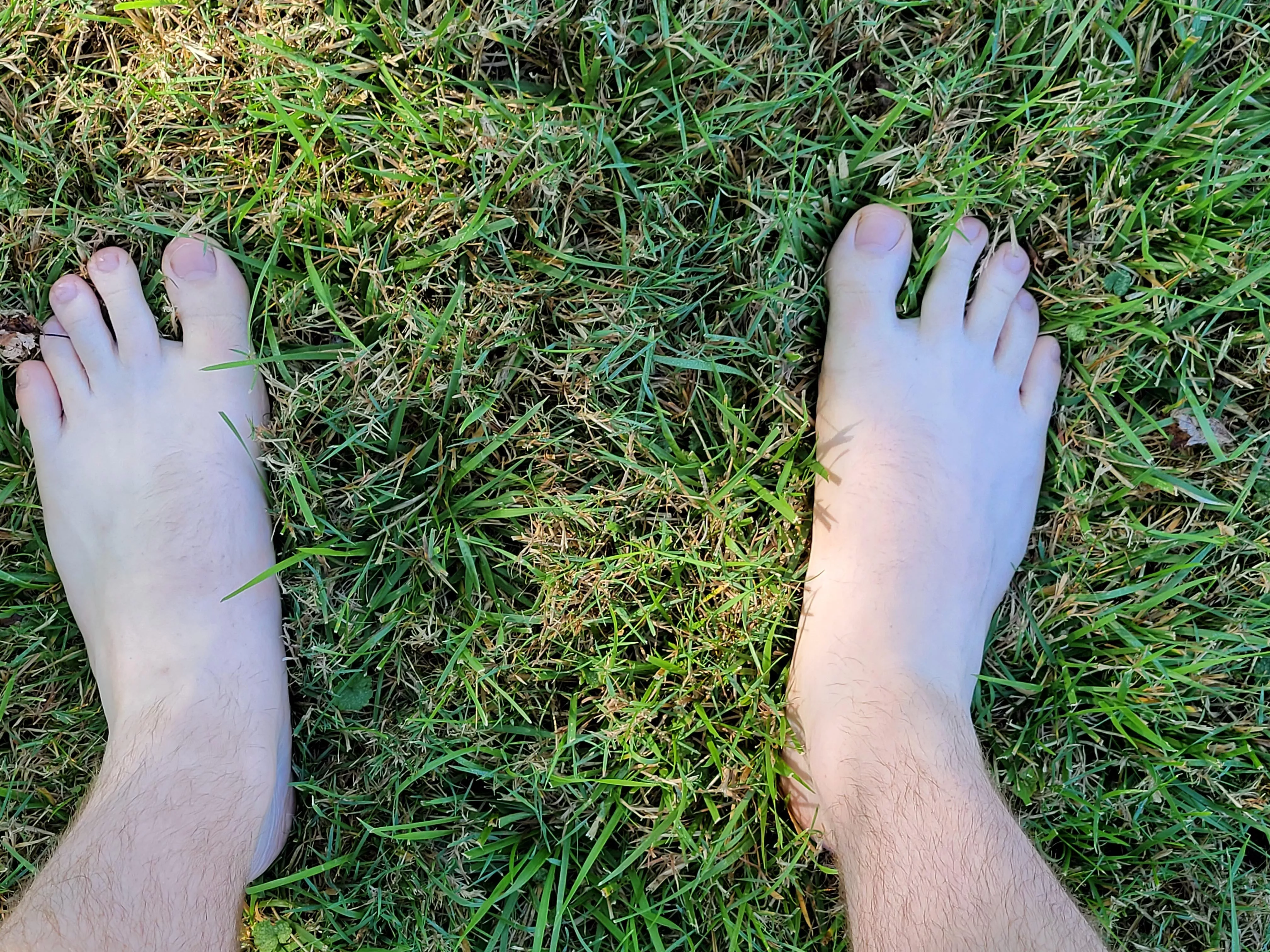 The grass feels good under my size 15 feet, but not as good as your tongue.