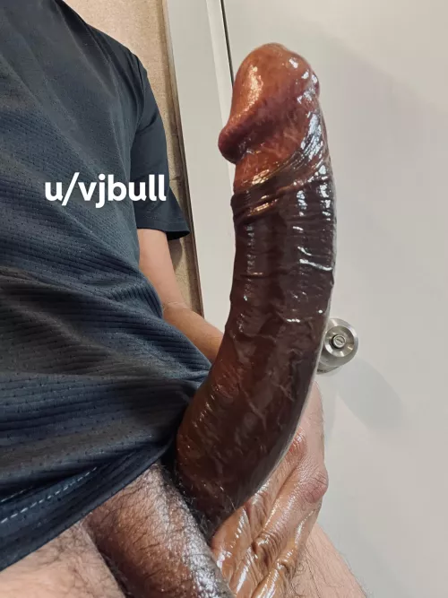 The gun is oiled and loaded