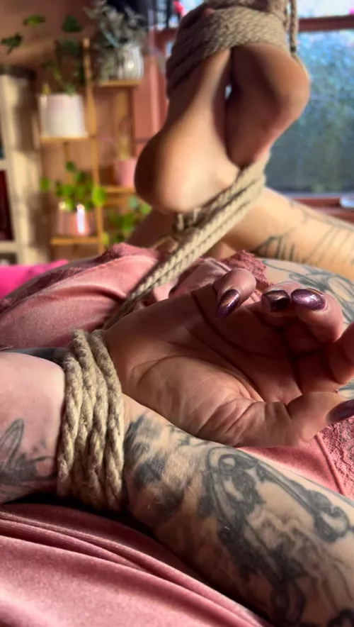 The hog tied submission