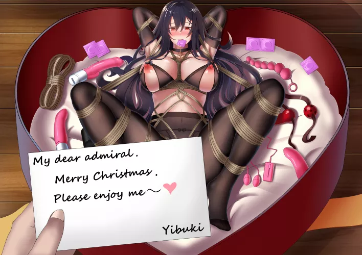 The kind of Christmas present I'm hoping for this year