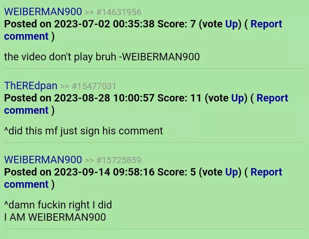 The Legend of WEIBERMAN900