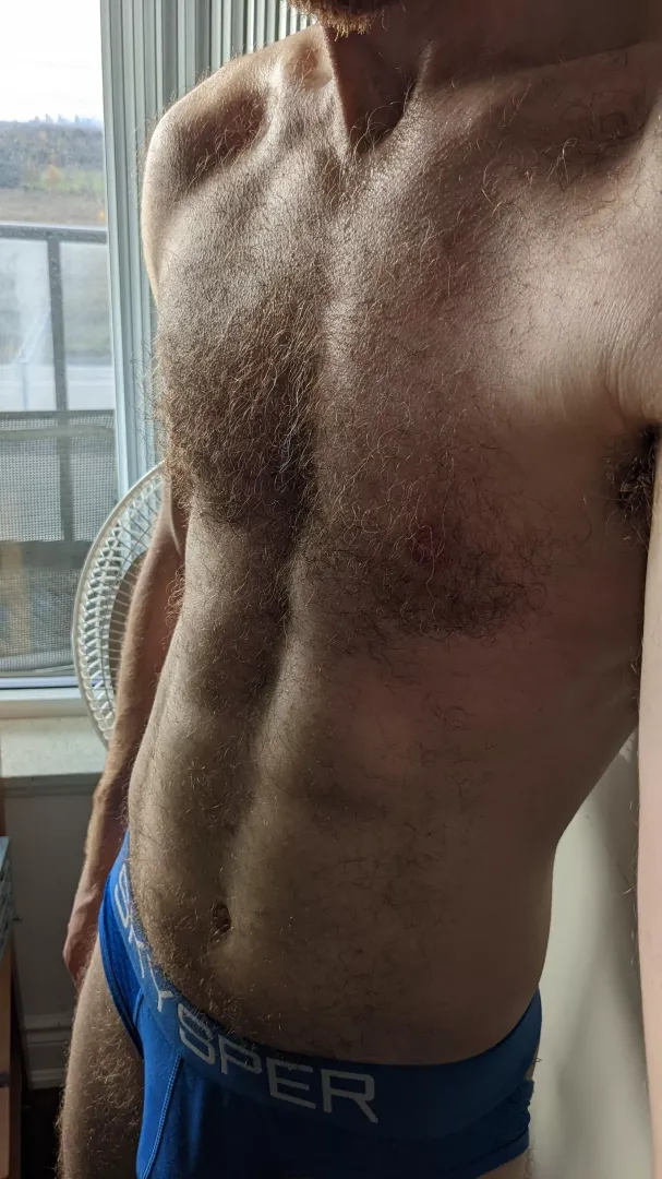 The light really shows off all my fur, don't you think?