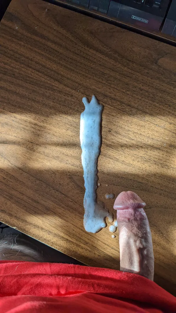 The 