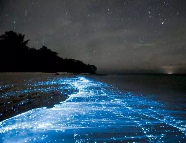 The most beautiful beaches in the world
