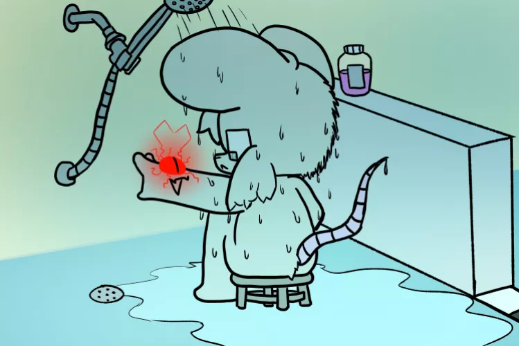 The parasite hates water and now Fluff can't shower in peace. [OC]