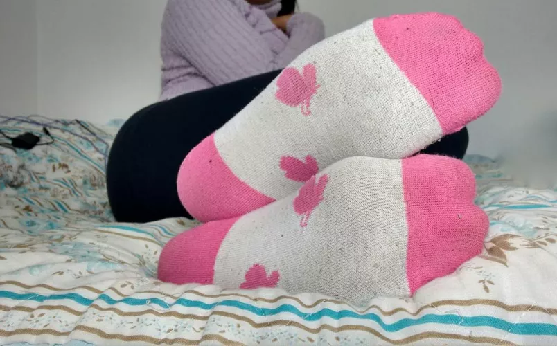 The perfect scent for your nose