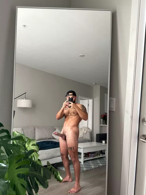 The perfect size for you?