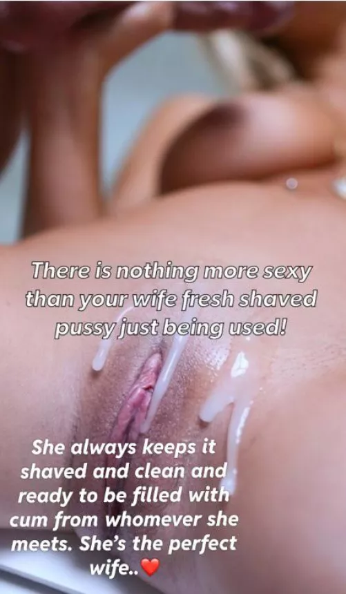 The perfect wife