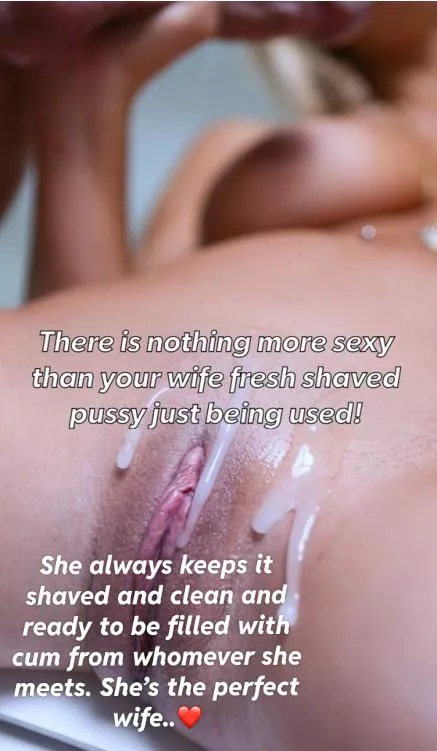 The perfect wife