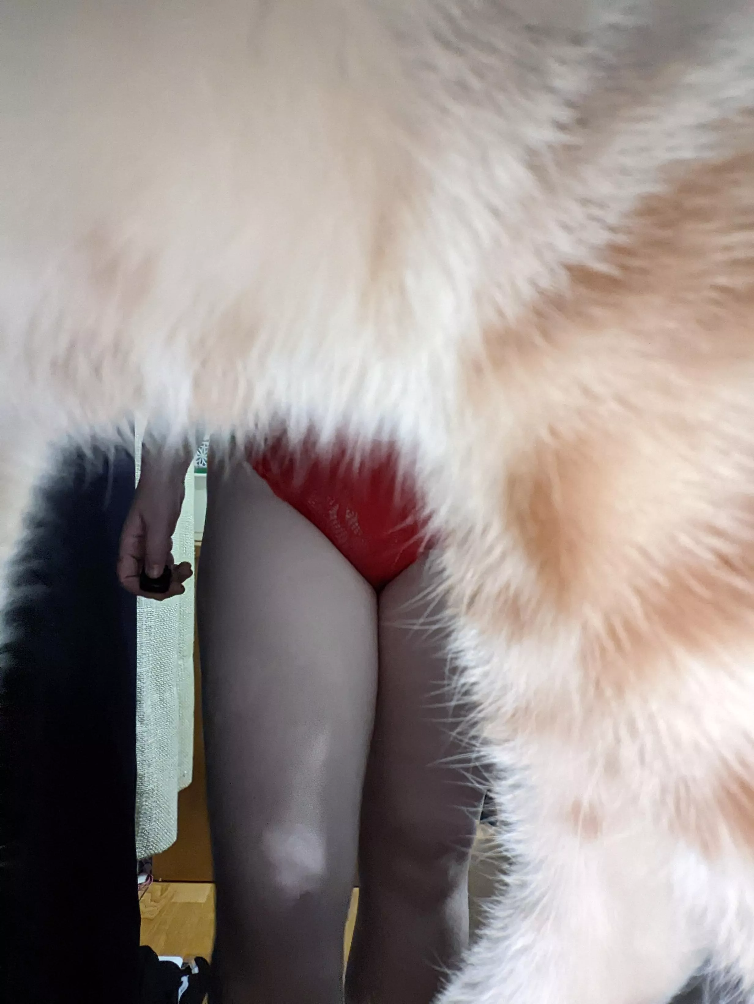 The pussy. Photobomb