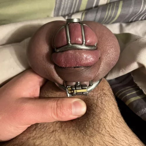 The results after some very intense teasing by the Wife.