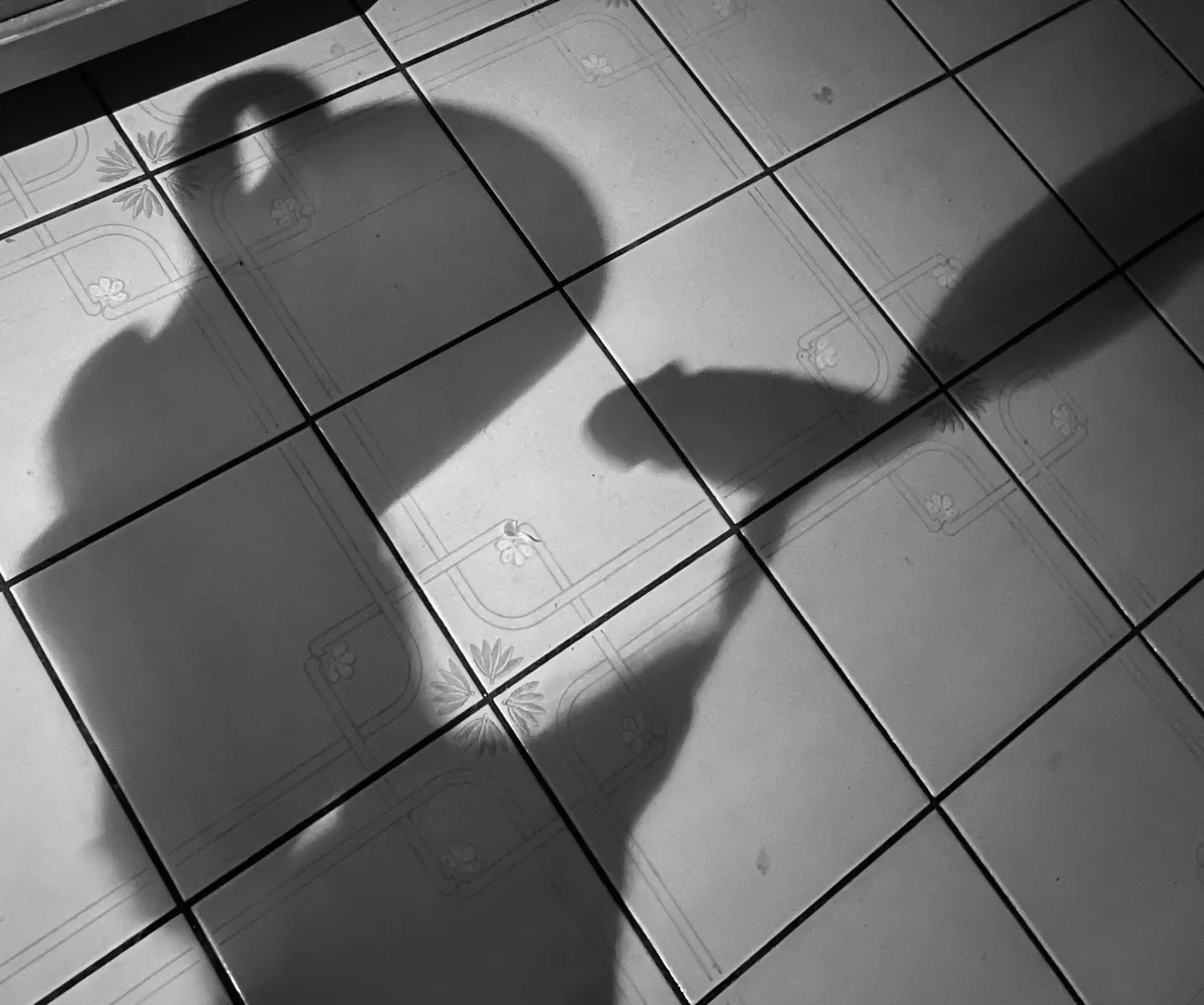 The shadow morning
