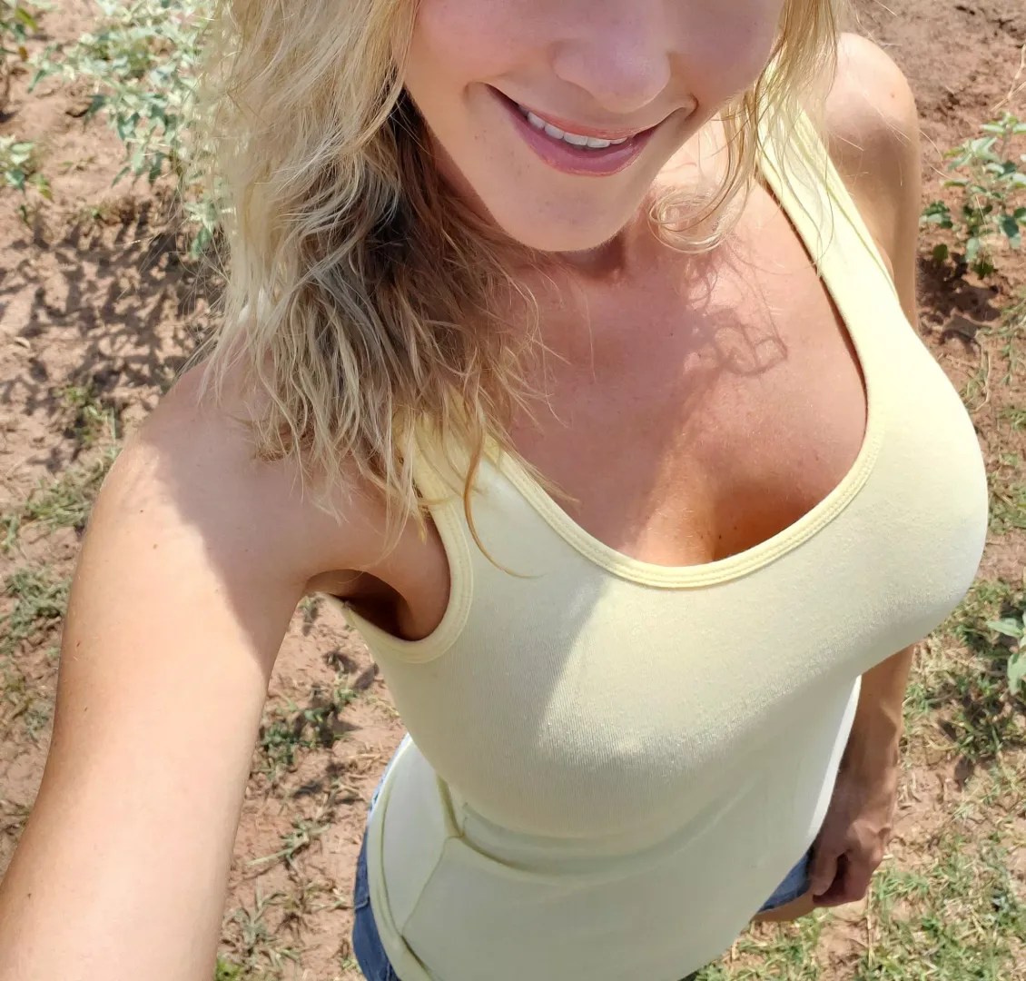 The sun is shining.