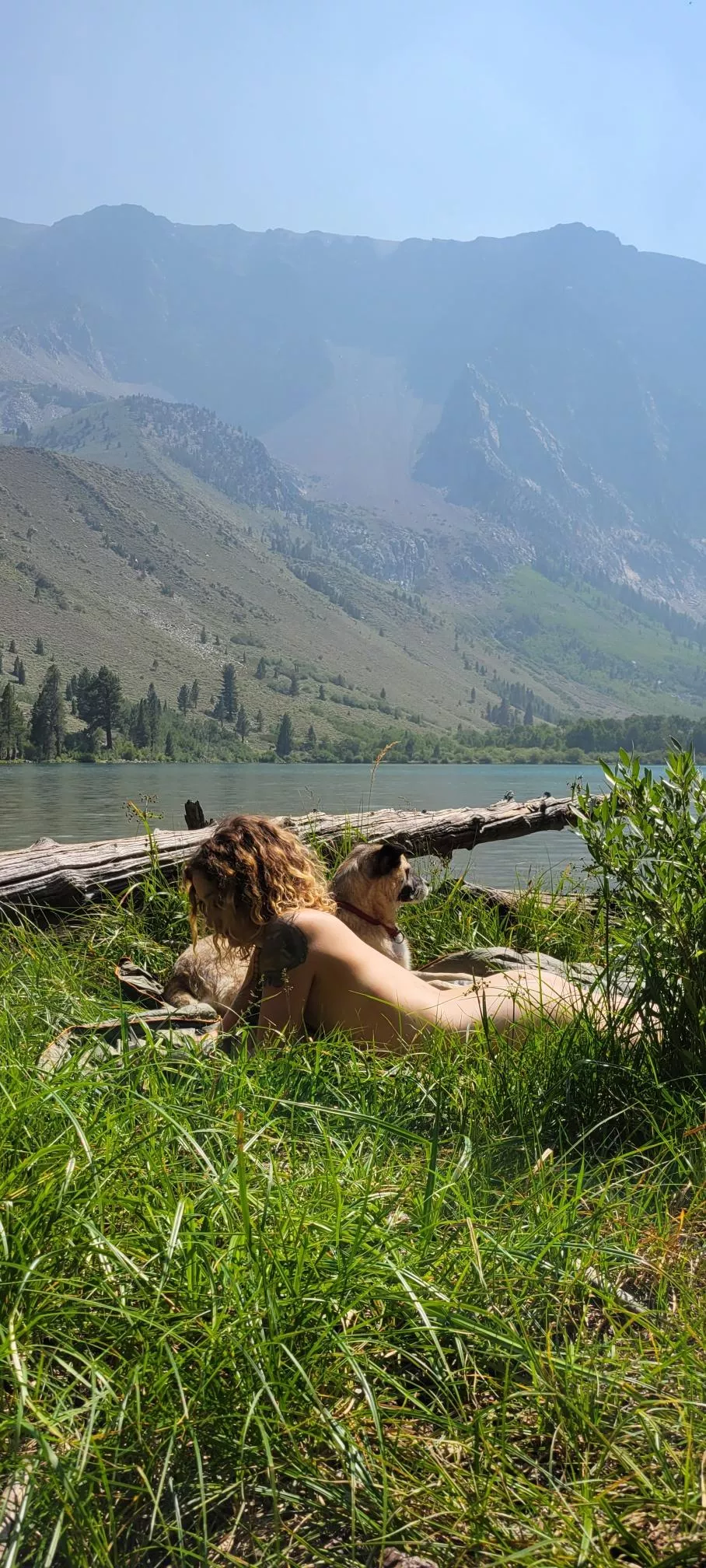 the sun rolls over me like a breeze