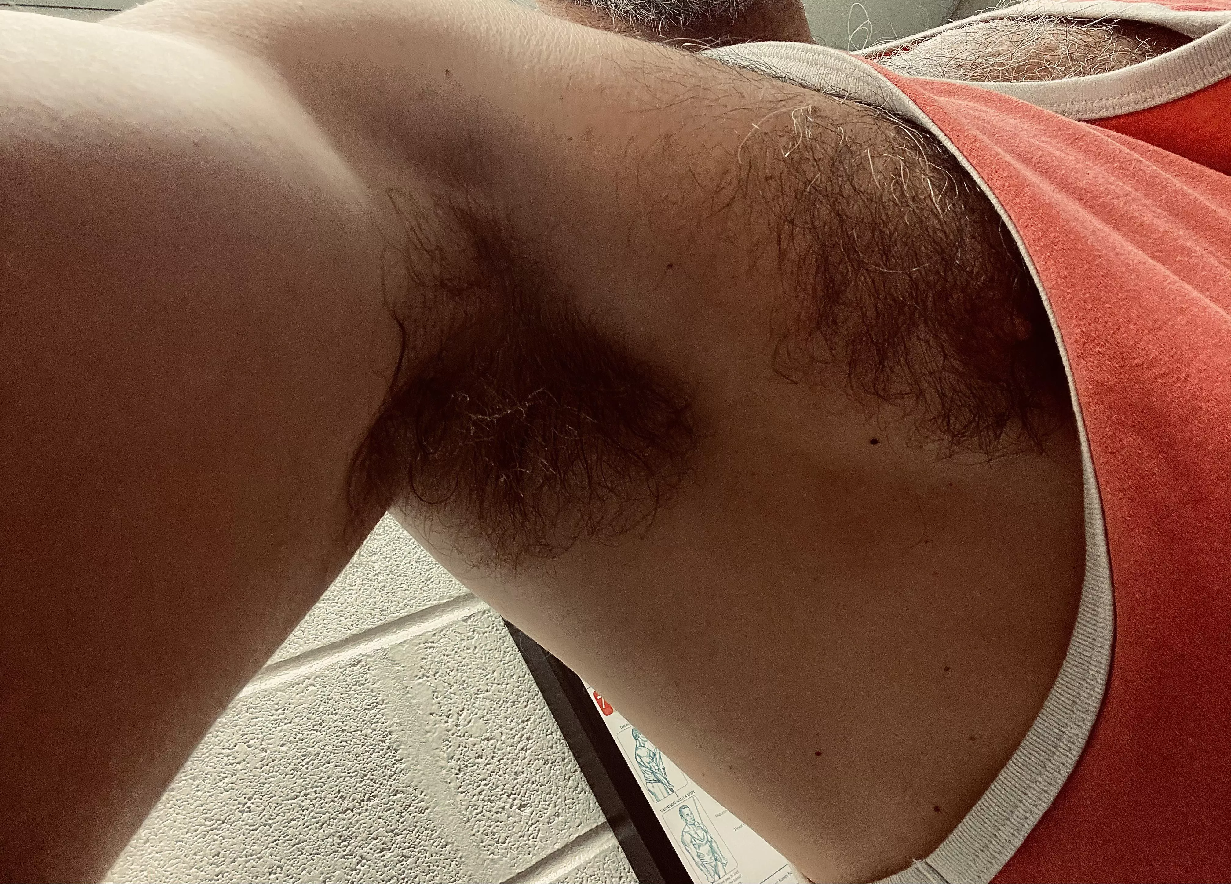 The sweaty man smell of my pits is filling the whole gym