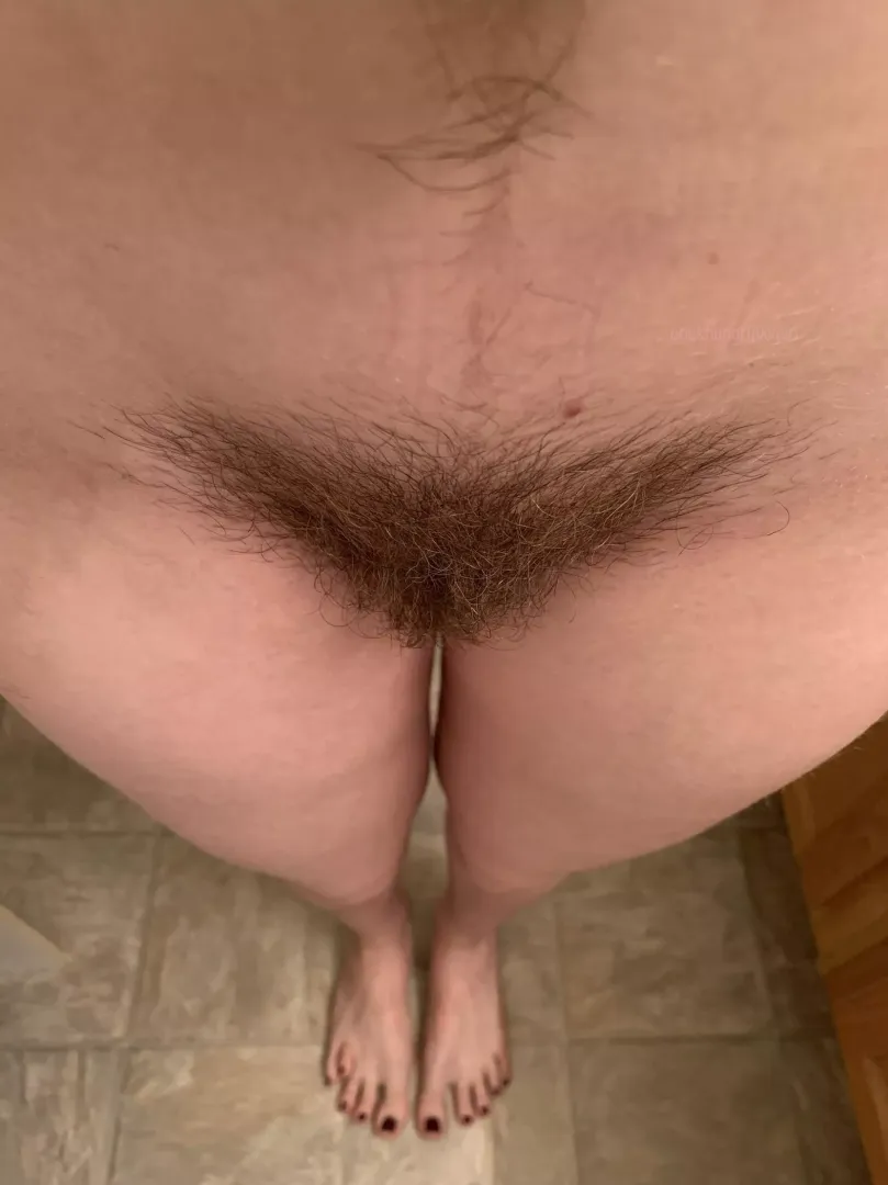 The thickest my bush has ever been