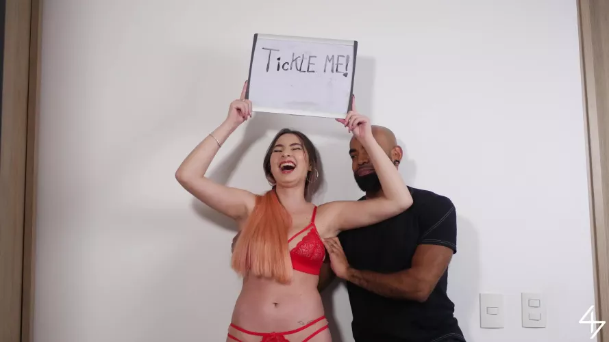 The 
