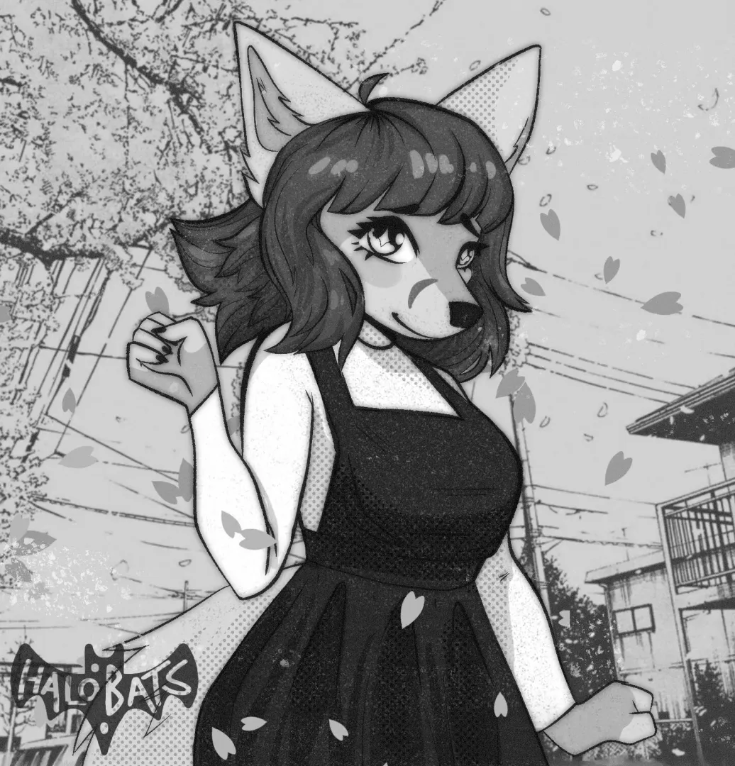 the walk home 🌸