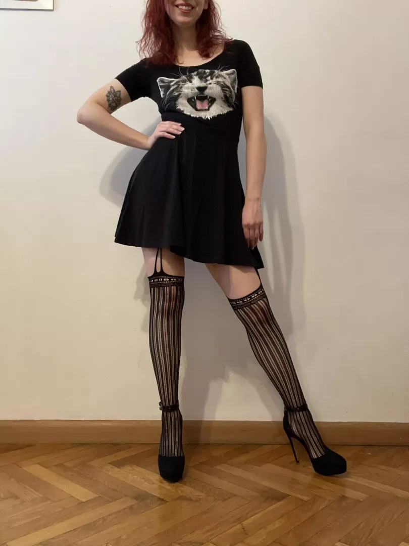 There are two kitties in the pic. One of them really likes being rubbed and kisses hehe (@dellasweets) [onlyfans]