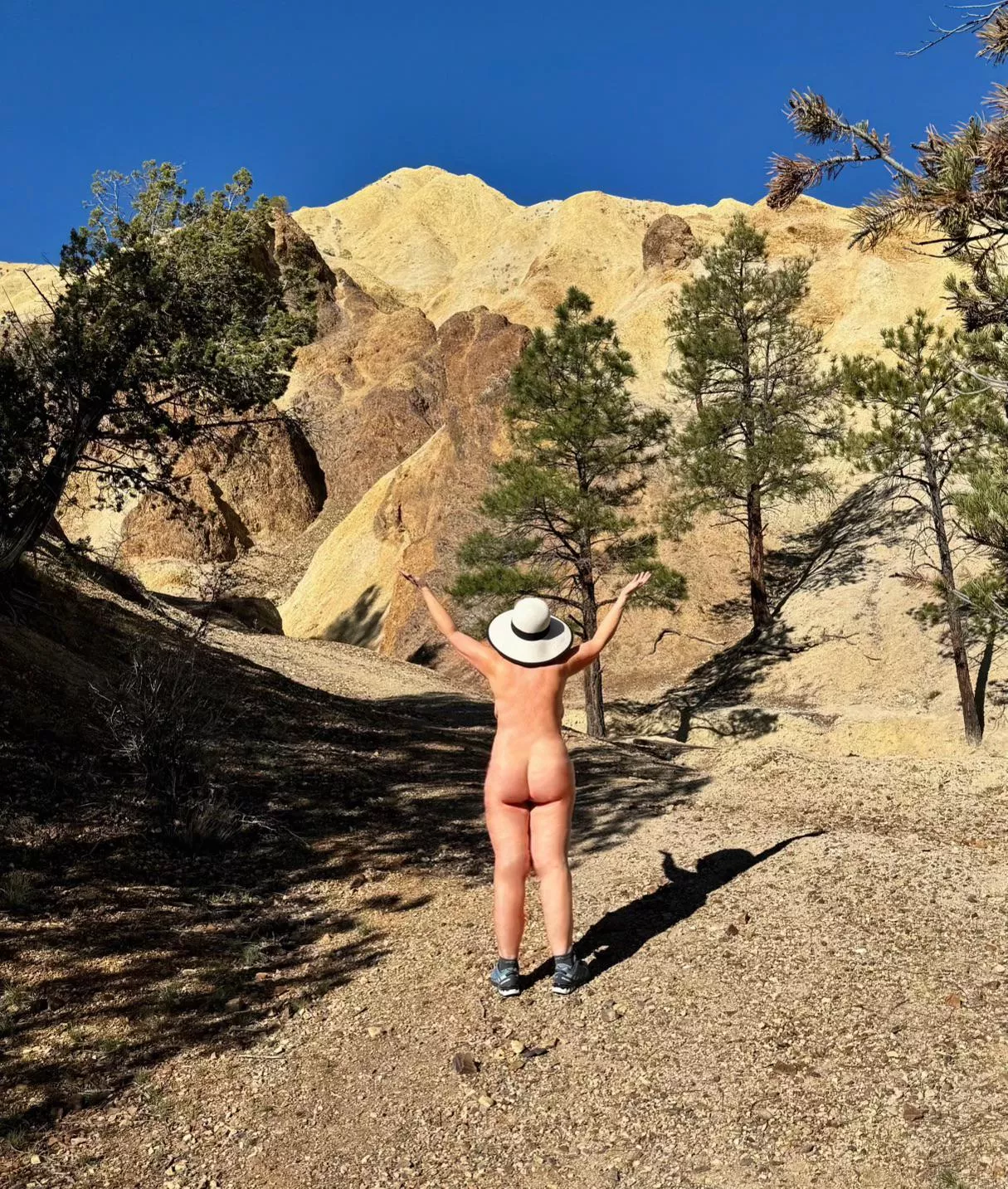 There’s Gold in them thar hills!